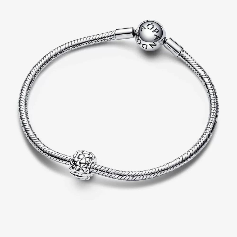 Best Pandora Clip Studded Bold